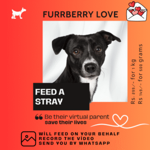 Furrberry Love Feed – Powering Paws Back to Life. 80% Chicken meal